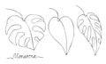 Set of monstera leaves in lineart style with hand signature. Floral minimalistic picture isolated on white. Vector illustration